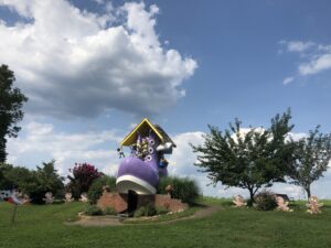 IMG_8212