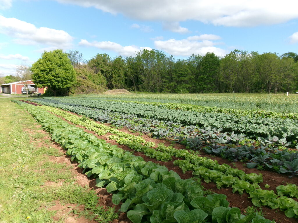 One Acre Farm