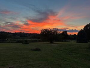 BigFieldSunset2025