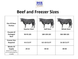 Freezer-Sizes-1024×784