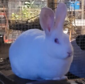 IMG-20250313-WA0000
