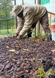 Dodo Farms – Farmer Niyi