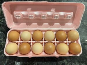 Eggs2