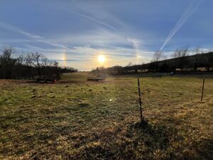 IMG_3903 (1)