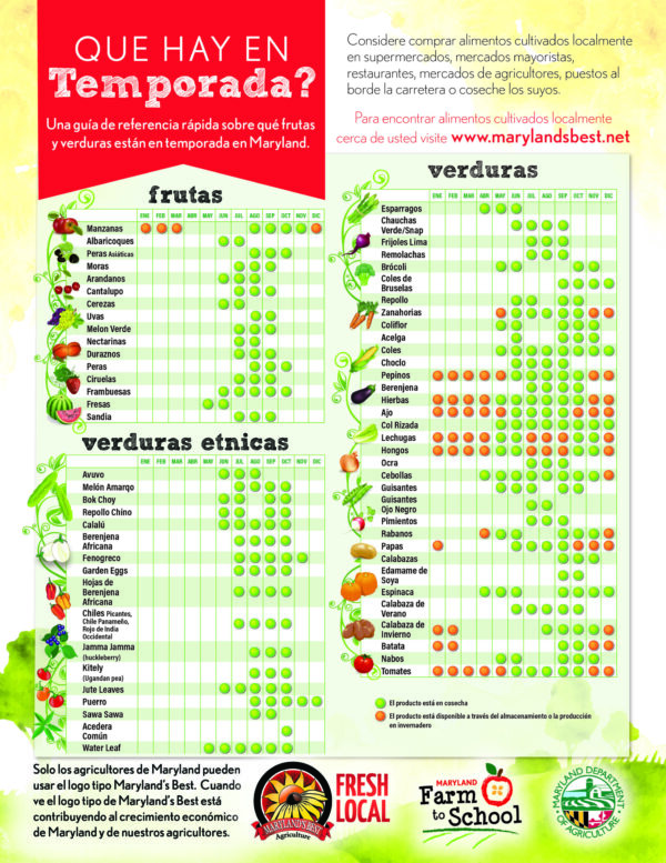 What's In Season Chart - Spanish
