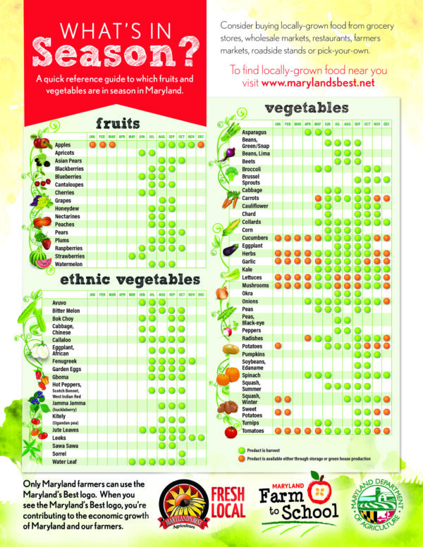What's In Season Chart - English