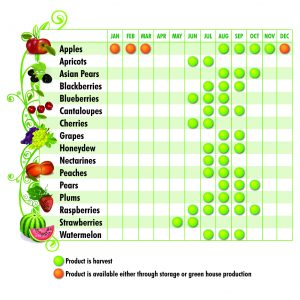 MD Fruit Seasonality Chart | Marylands Best