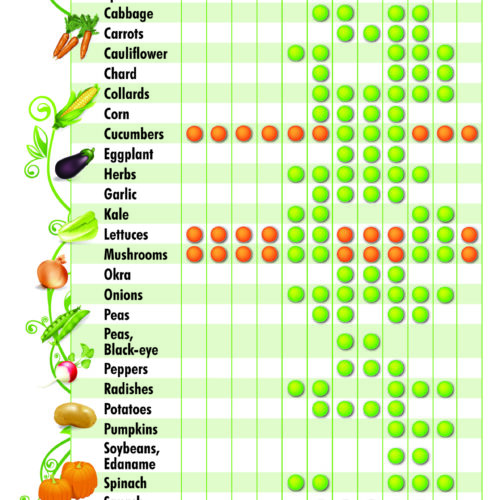 MD Vegetable Seasonality Chart | Marylands Best