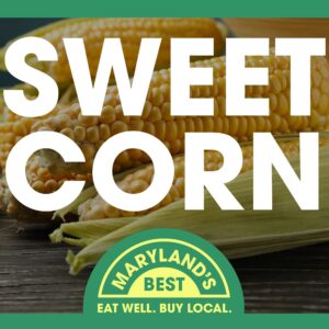 Roadside Stand Sign - Corn