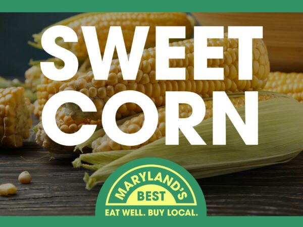 Roadside Stand Sign - Corn