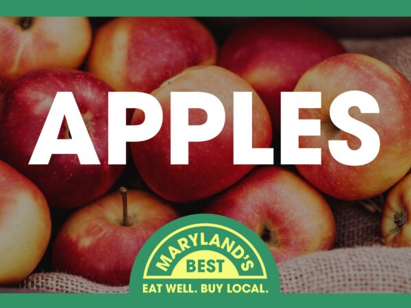 Roadside Stand Sign - Apples