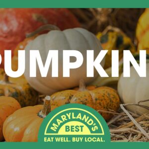 Roadside Stand Sign - Pumpkins
