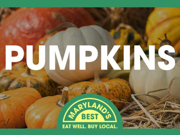 Roadside Stand Sign - Pumpkins