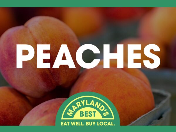 Roadside Stand Sign - Peaches