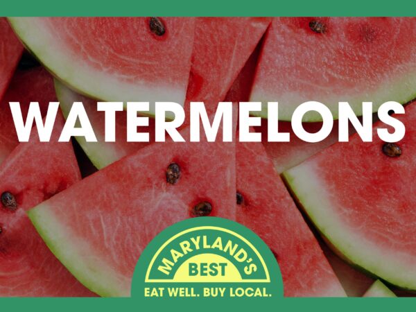 Roadside Stand Sign - Watermelons