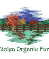 Miolea Organic Farm