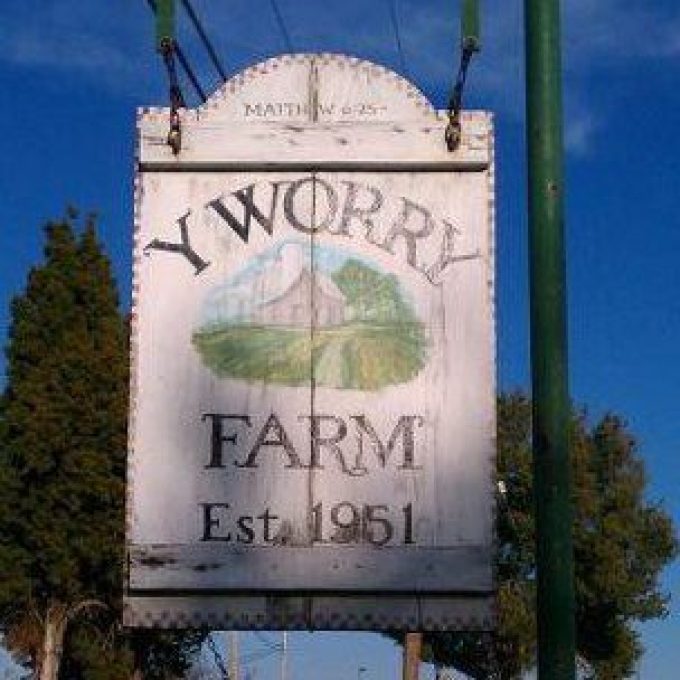 Y Worry Farms