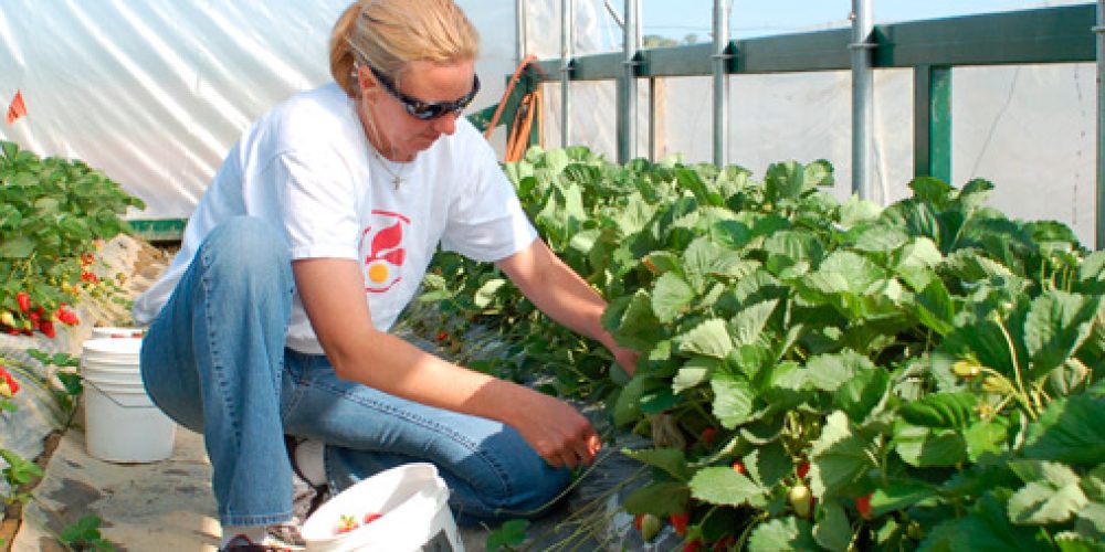 Addressing Food Waste