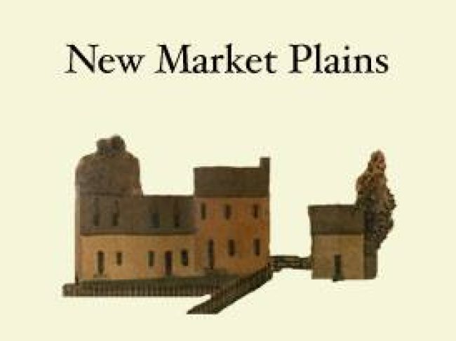 New Market Plains Vineryards