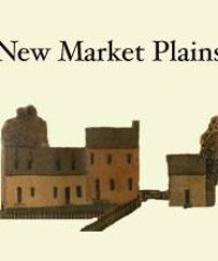 New Market Plains Vineryards