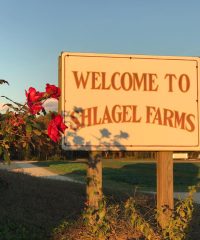 Shlagel Farms, LLC.
