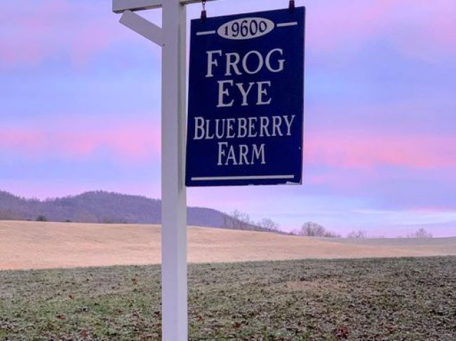 Frog Eye Farm