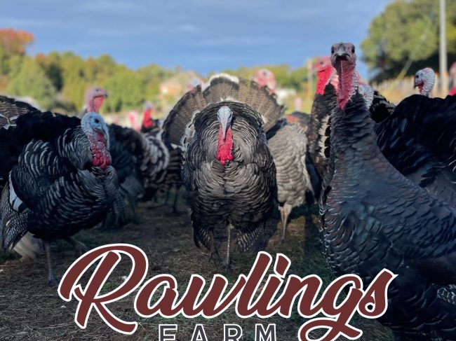 Rawlings Farm LLC