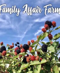 Family Affair Farm