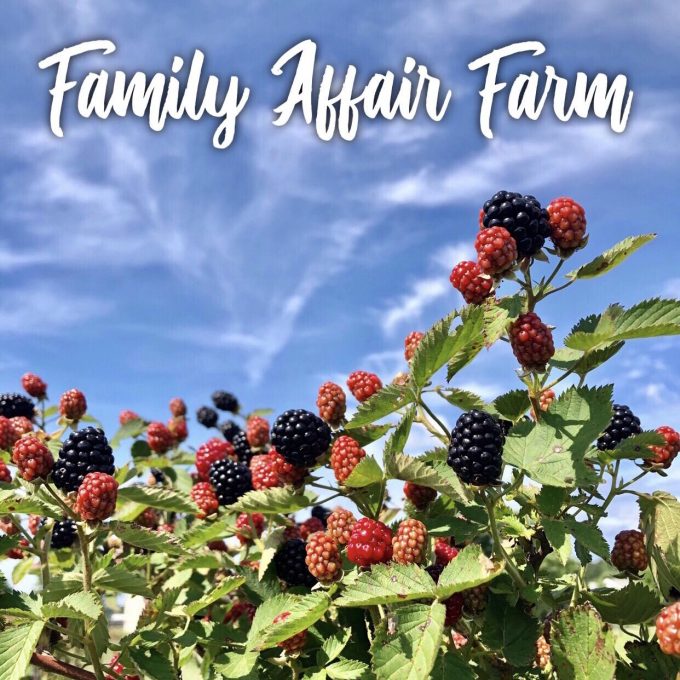 Family Affair Farm