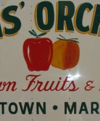 Lewis Orchards and Farm Market