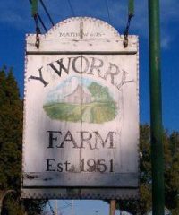 Y Worry Farms