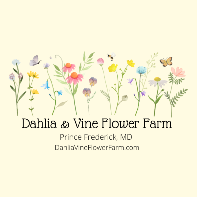 Dahlia &#038; Vine Flower Farm
