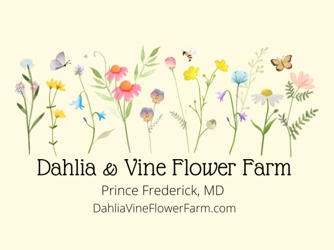 Dahlia & Vine Flower Farm