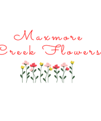 Maxmore Creek Flowers