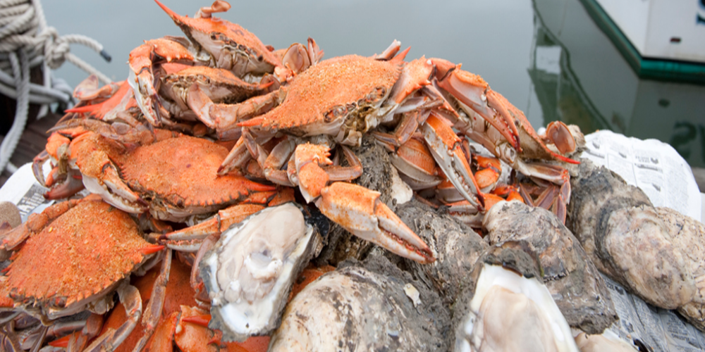 Enjoy Maryland Crabs!
