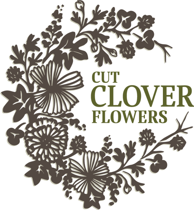 Cut Clover Flowers at Hidden Ridge Farm