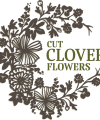 Cut Clover Flowers at Hidden Ridge Farm
