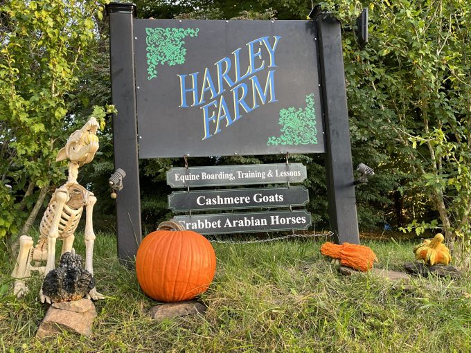 Harley Farm