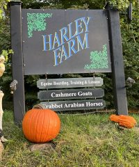 Harley Farm