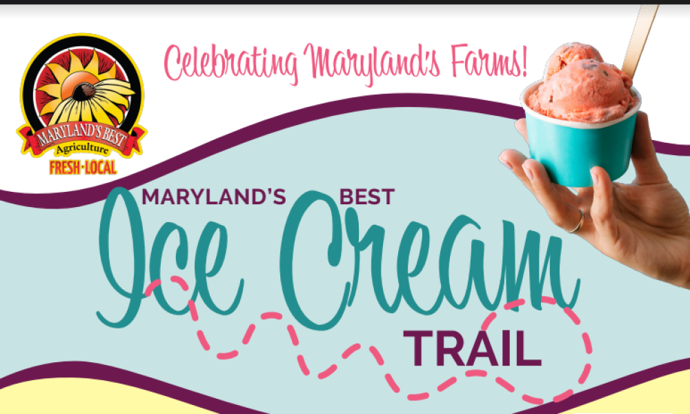 Enjoy the Ice Cream Trail!