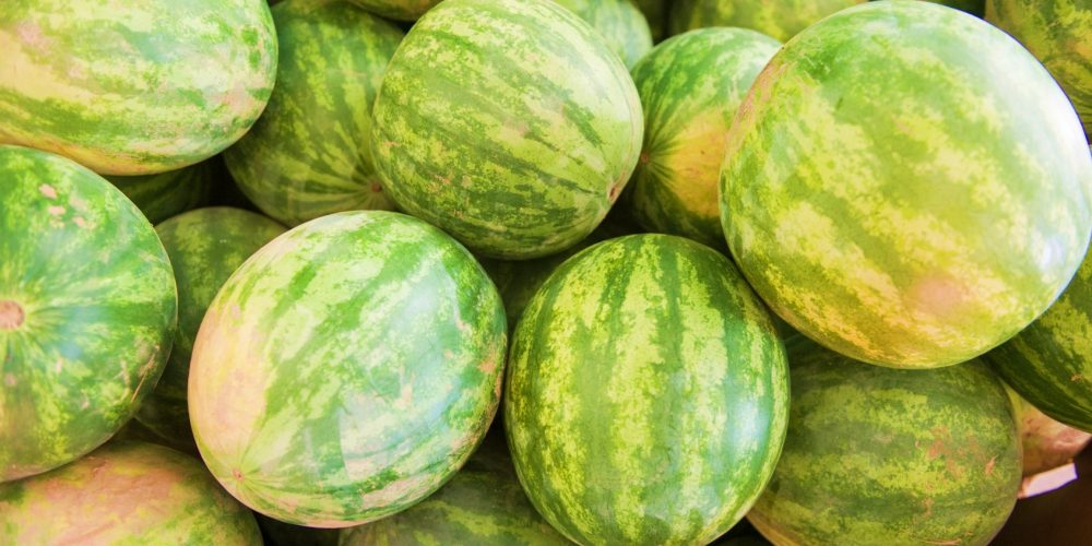 Maryland Watermelon Season!