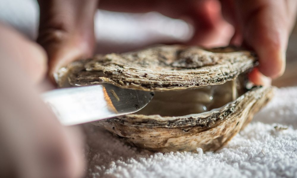 Got Oysters? A Maryland Oyster Guide