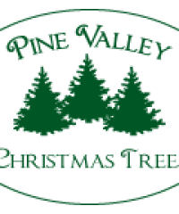 Pine Valley Christmas Trees
