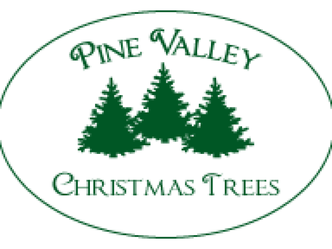 Pine Valley Christmas Trees