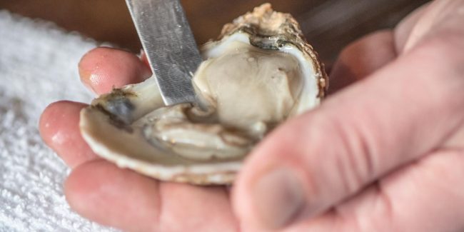 Choose Maryland Oysters