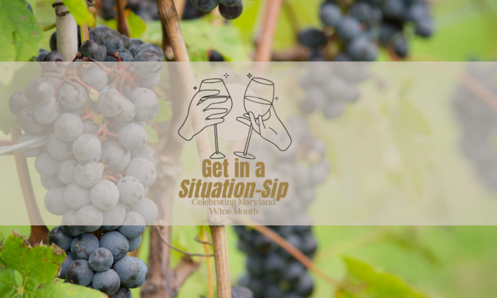 Maryland wine month, wine, wine grapes