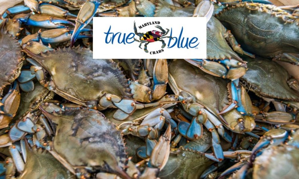 Maryland True Blue Crabs