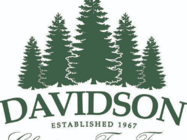 Davidson Christmas Tree Farm