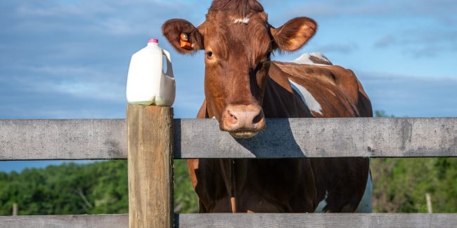 June is National Dairy Month; Let’s Celebrate!